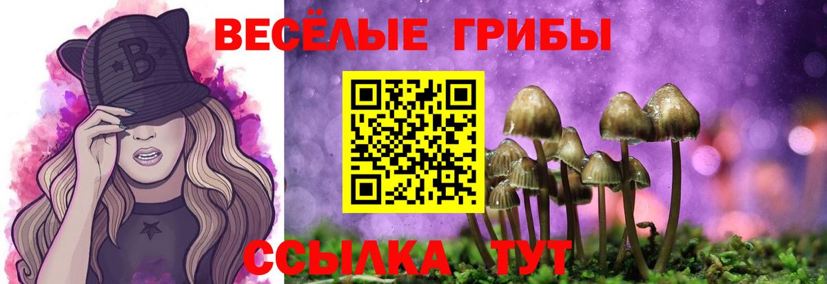 Галлюциногенные грибы Cubensis  Вход с VPN  как найти закладки  Советская Гавань 